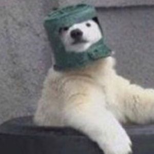 Meet your Posher, Daria